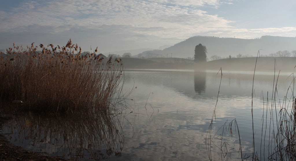 Le Lac De Bret